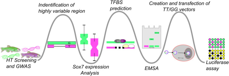 FIGURE 1