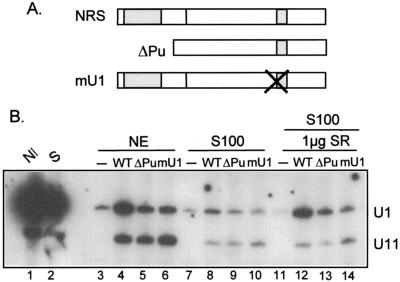 FIG. 7