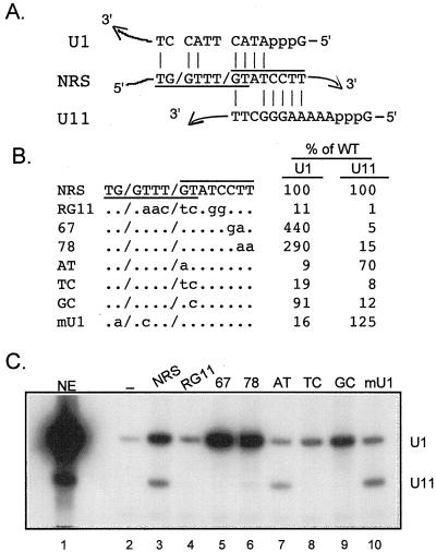 FIG. 4