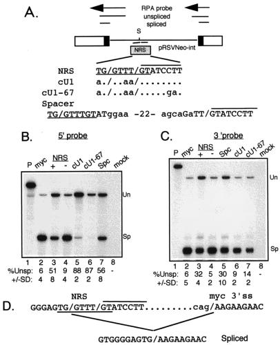 FIG. 6