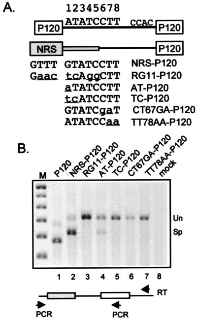 FIG. 1