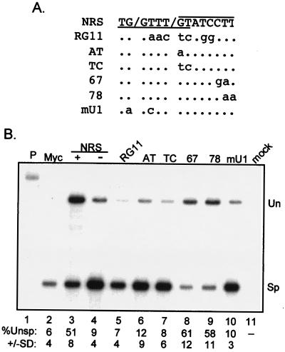 FIG. 5