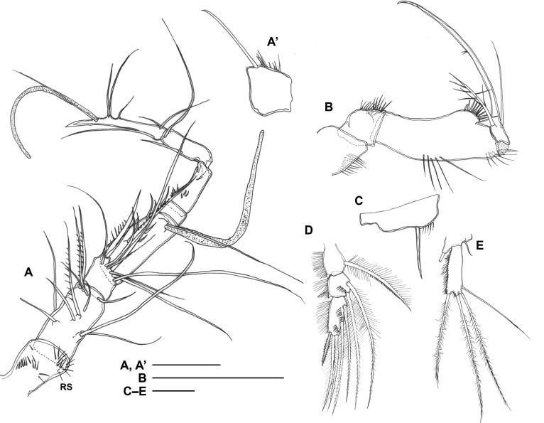 Figure 7.