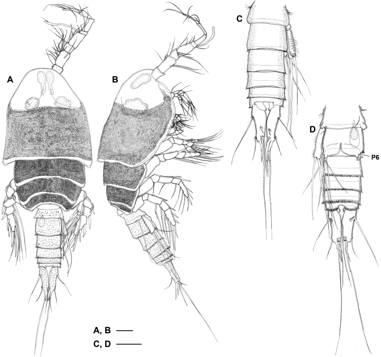 Figure 6.