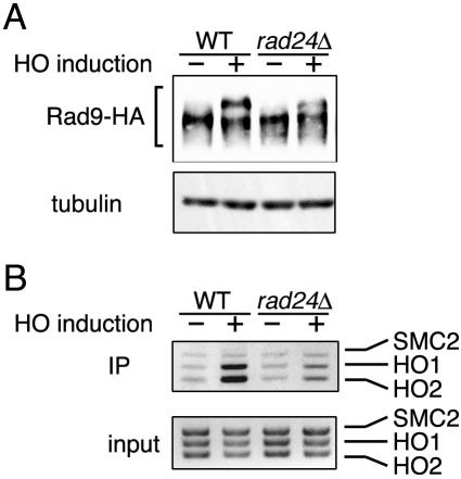 FIG. 7.