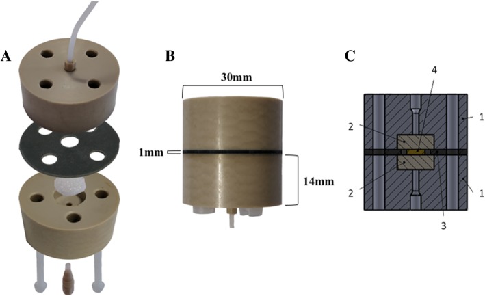 Fig. 1