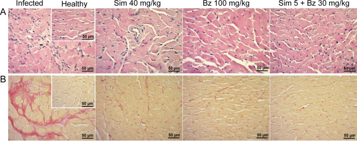 FIG 3