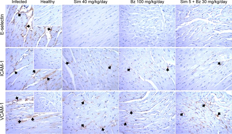 FIG 2