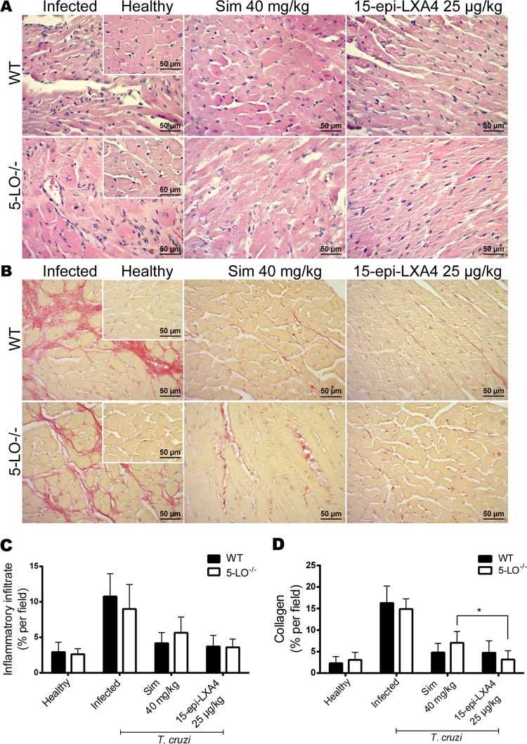 FIG 6