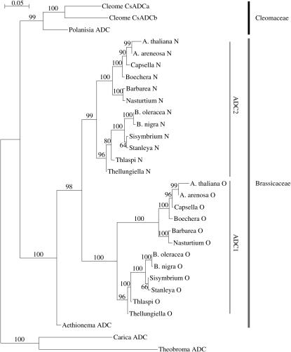 Figure 5.