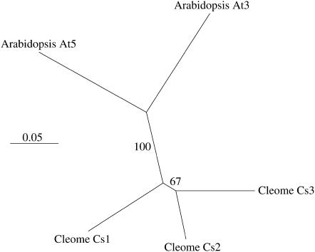 Figure 6.