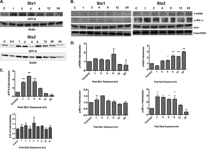 Fig. 6.