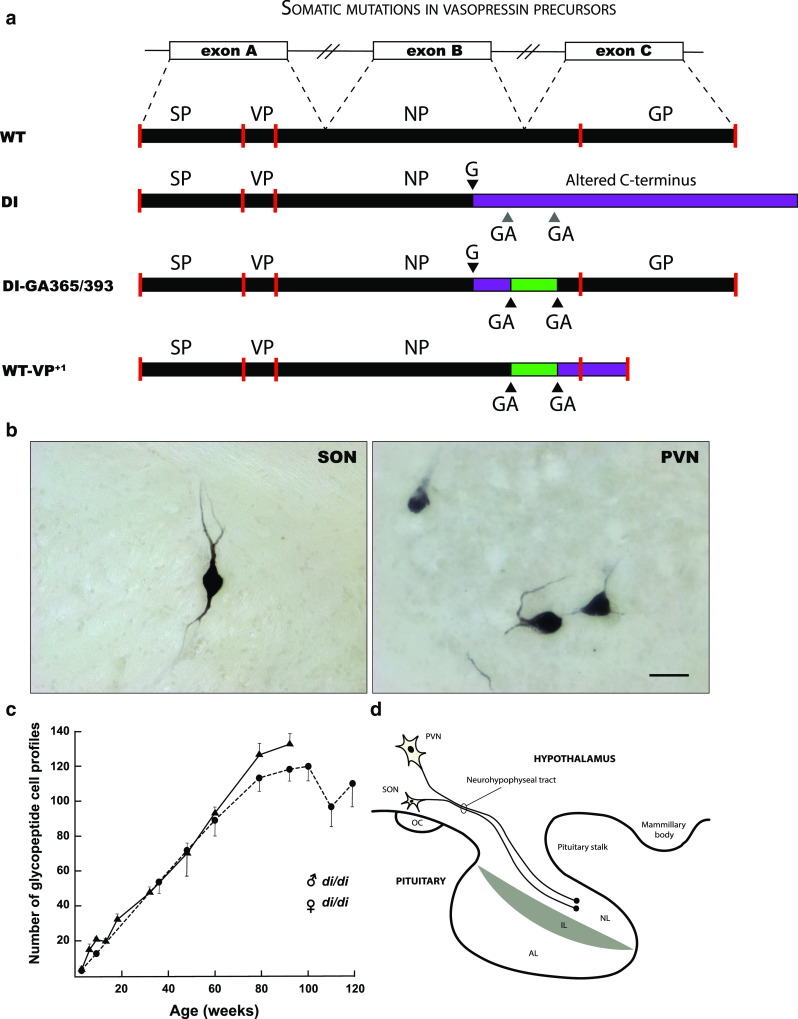 Fig. 2