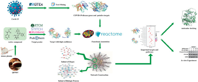 Image, graphical abstract