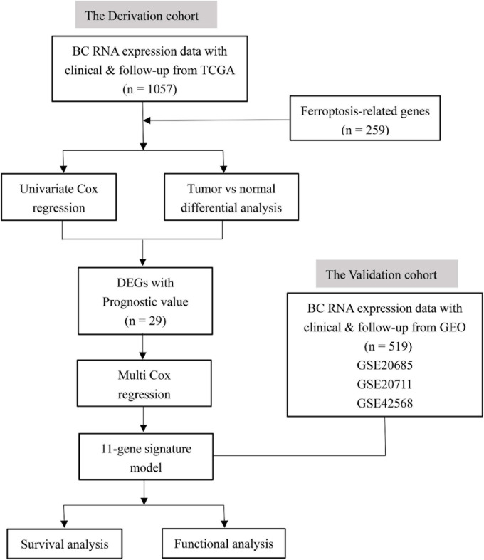 FIGURE 1