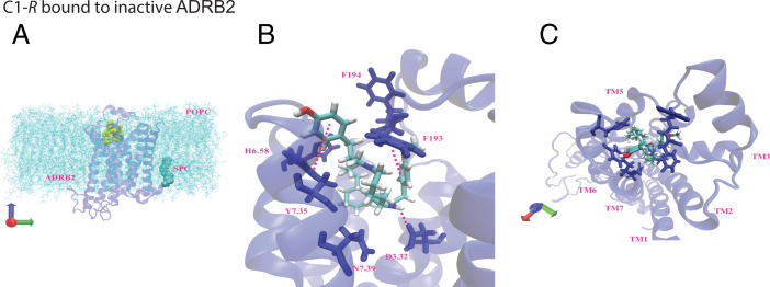 Fig. 9.