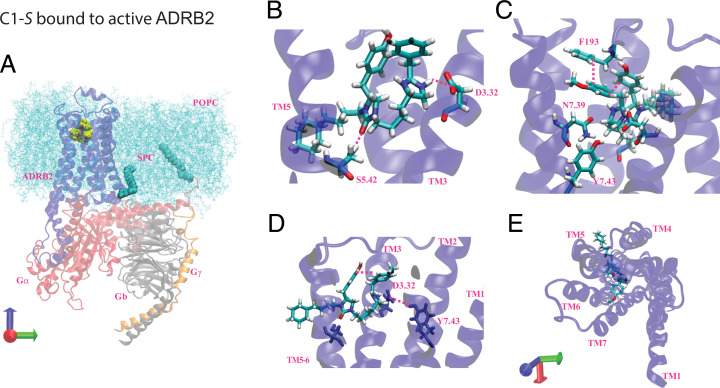 Fig. 7.