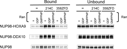 FIGURE 4.