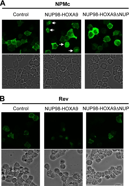 FIGURE 1.