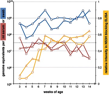 Figure 6