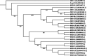 FIG 1
