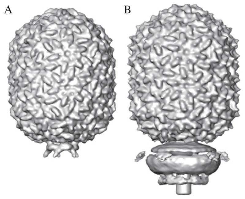 Figure 7.3