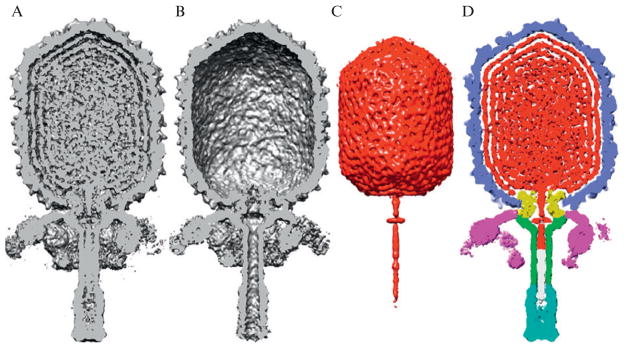 Figure 7.6