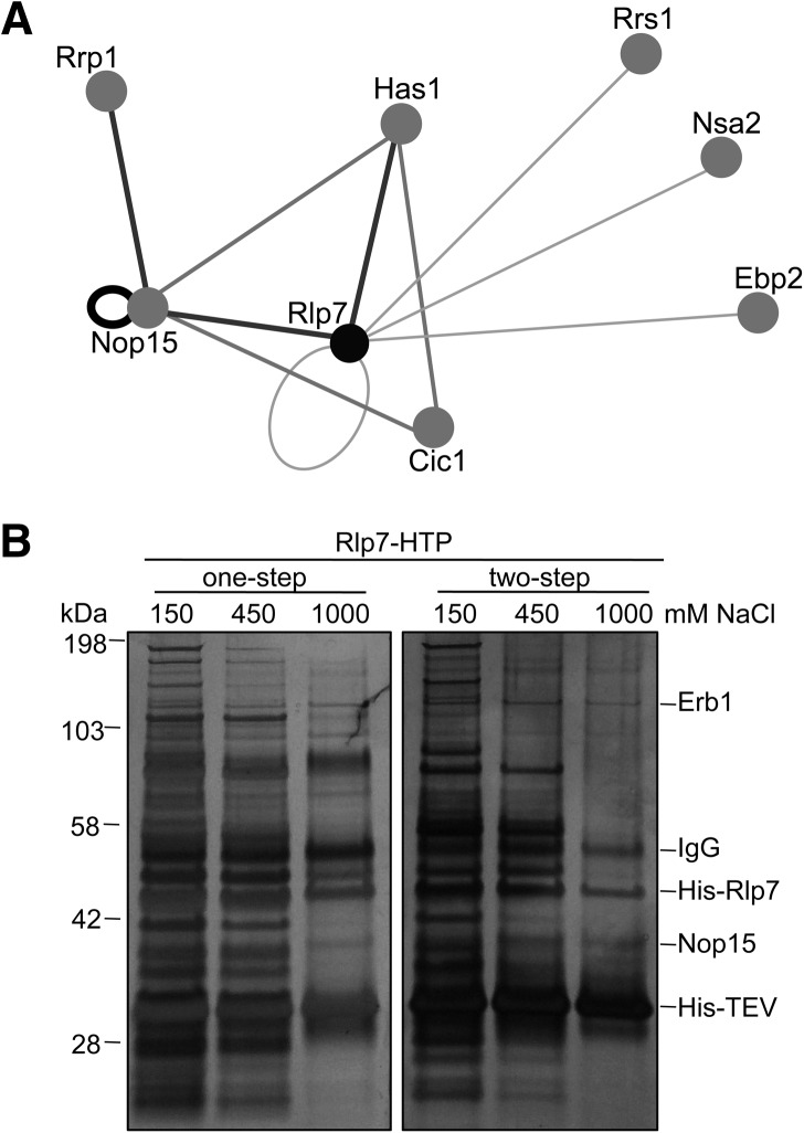 FIGURE 3.