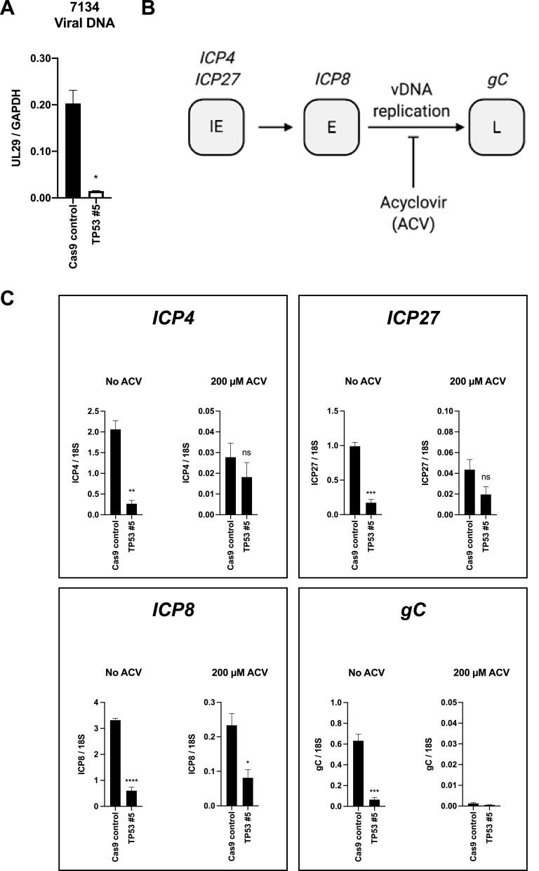 FIG 6