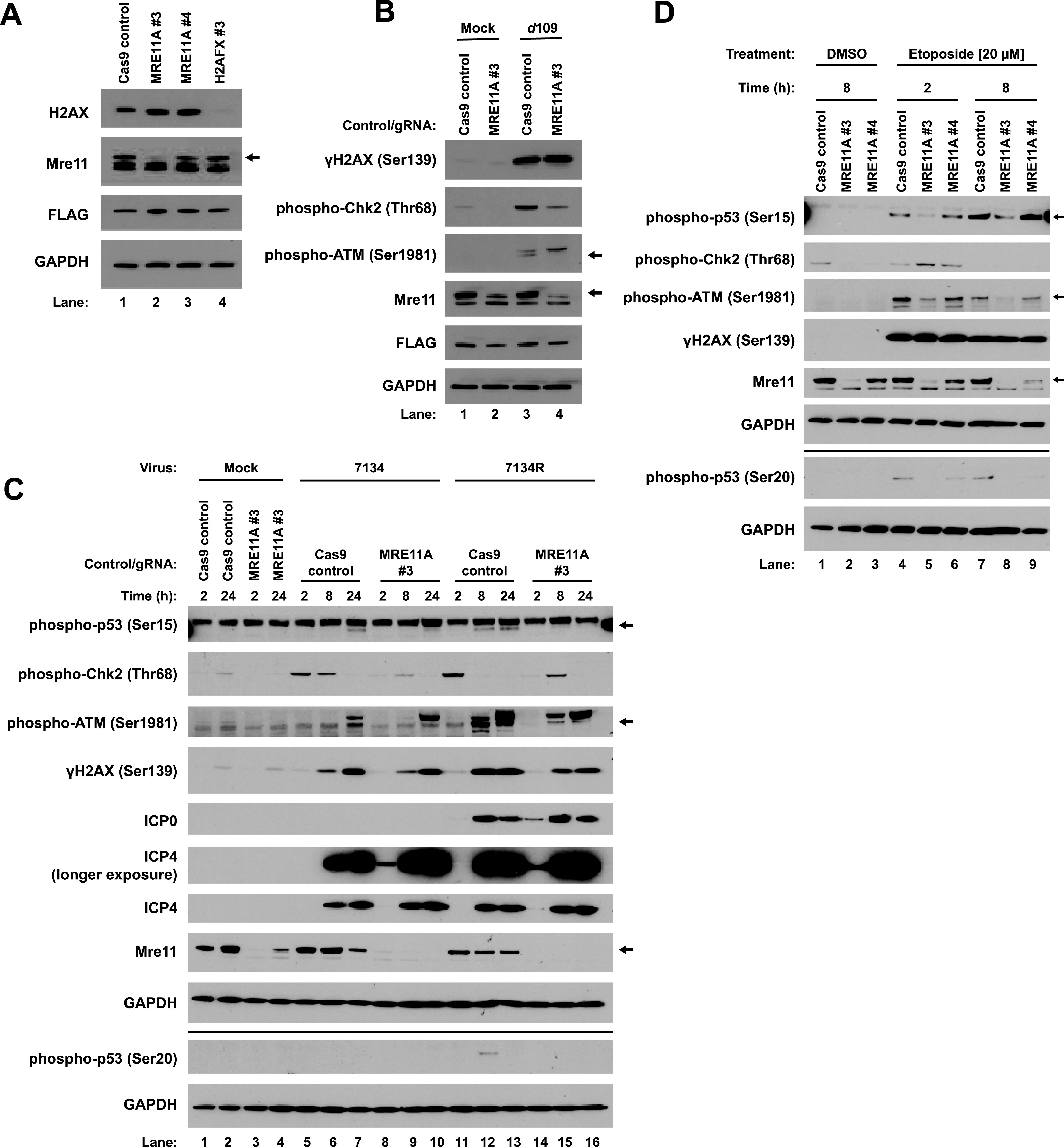 FIG 3