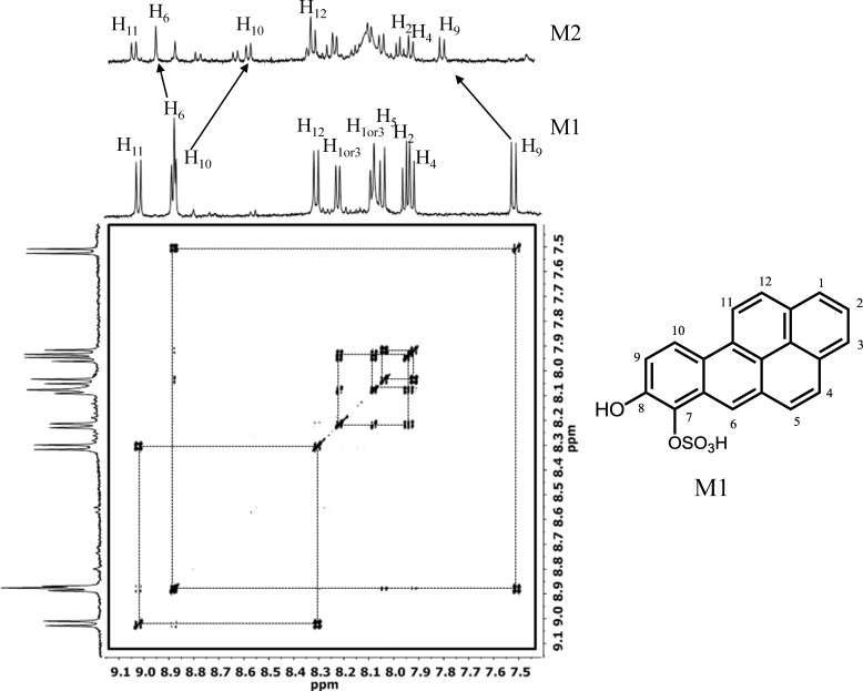 FIGURE 7.