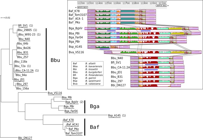 Fig 4