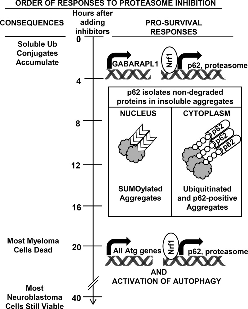 Figure 10.