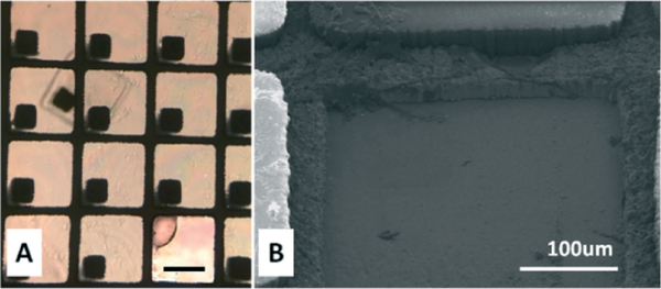 Fig. 7