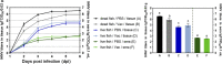 FIG 6