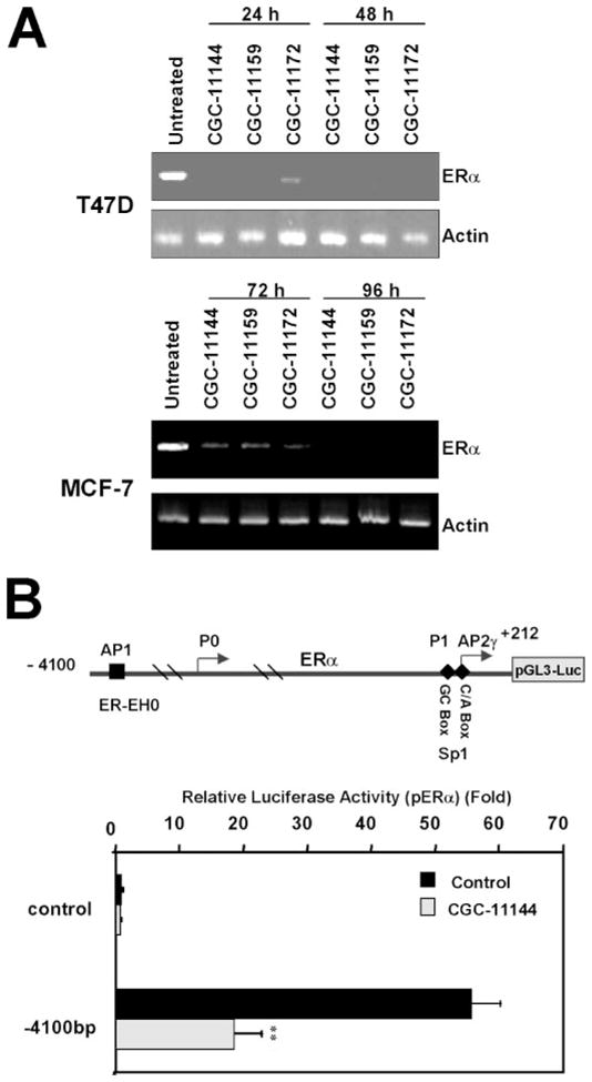 FIGURE 3