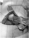 78-3