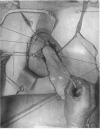 78-4
