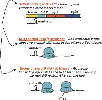 FIGURE 13.