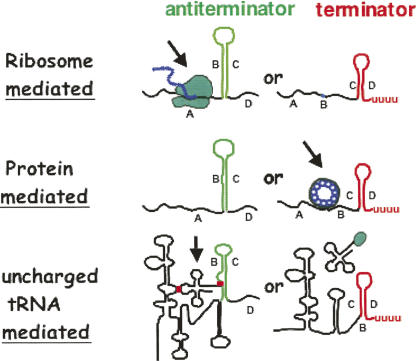 FIGURE 15.