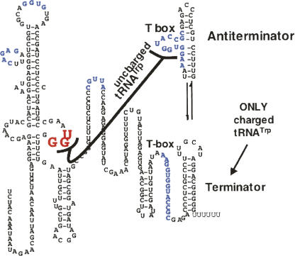 FIGURE 12.