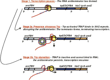 FIGURE 9.