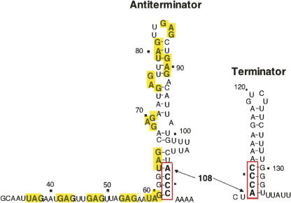 FIGURE 7.