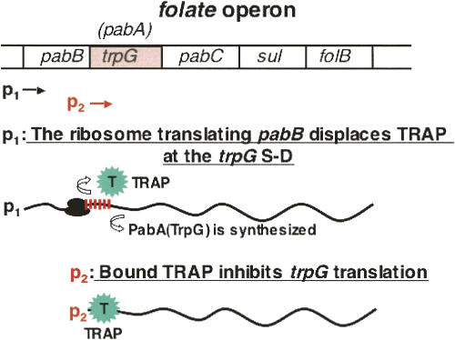 FIGURE 10.