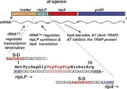 FIGURE 11.