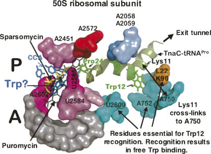 FIGURE 18.