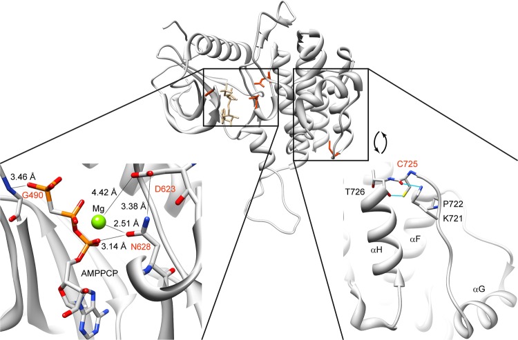 Figure 3