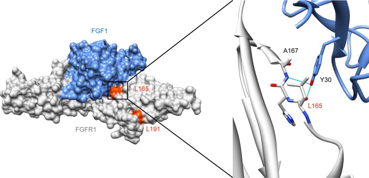 Figure 2