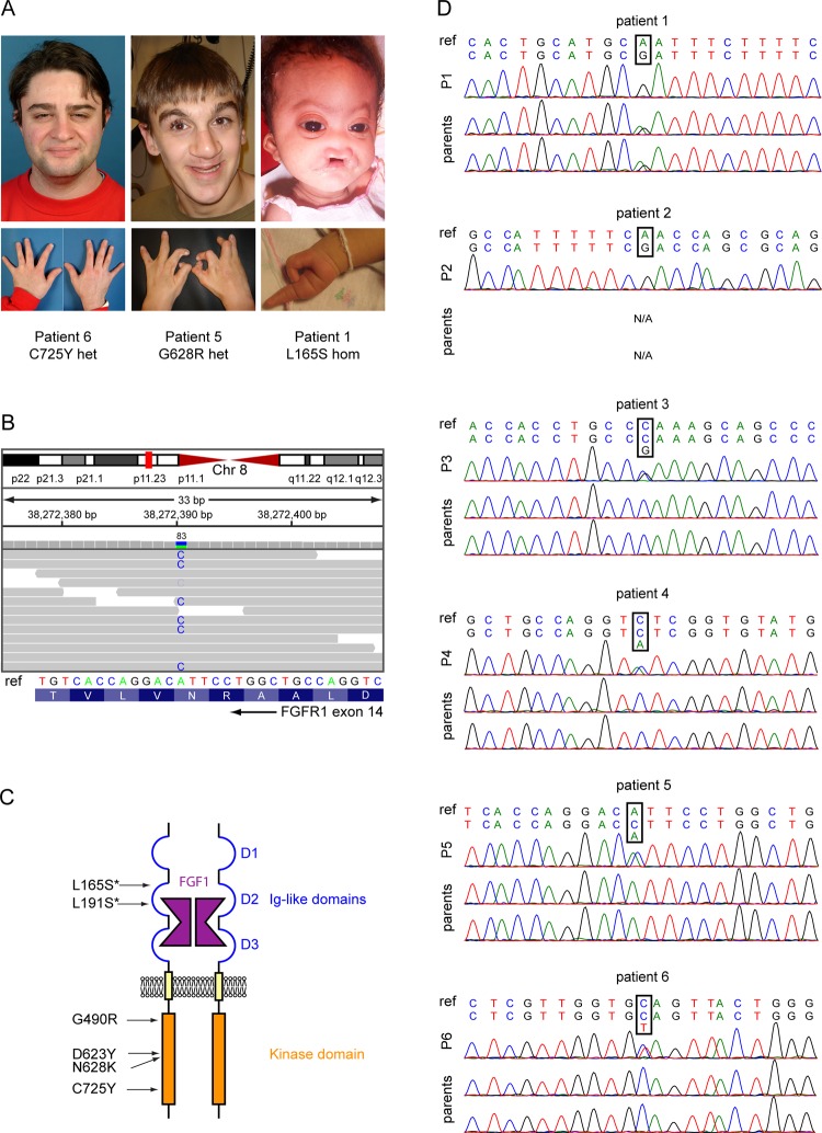 Figure 1