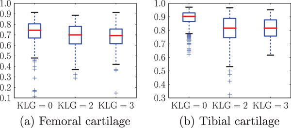 Fig. 19